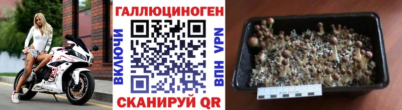 Галлюциногенные грибы MAGIC MUSHROOMS  Купить где  Камызяк 